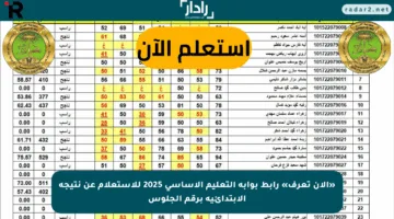 «الآن تعرف» رابط بوابة التعليم الاساسي 2025 للاستعلام عن نتيجة الابتدائية برقم الجلوس
